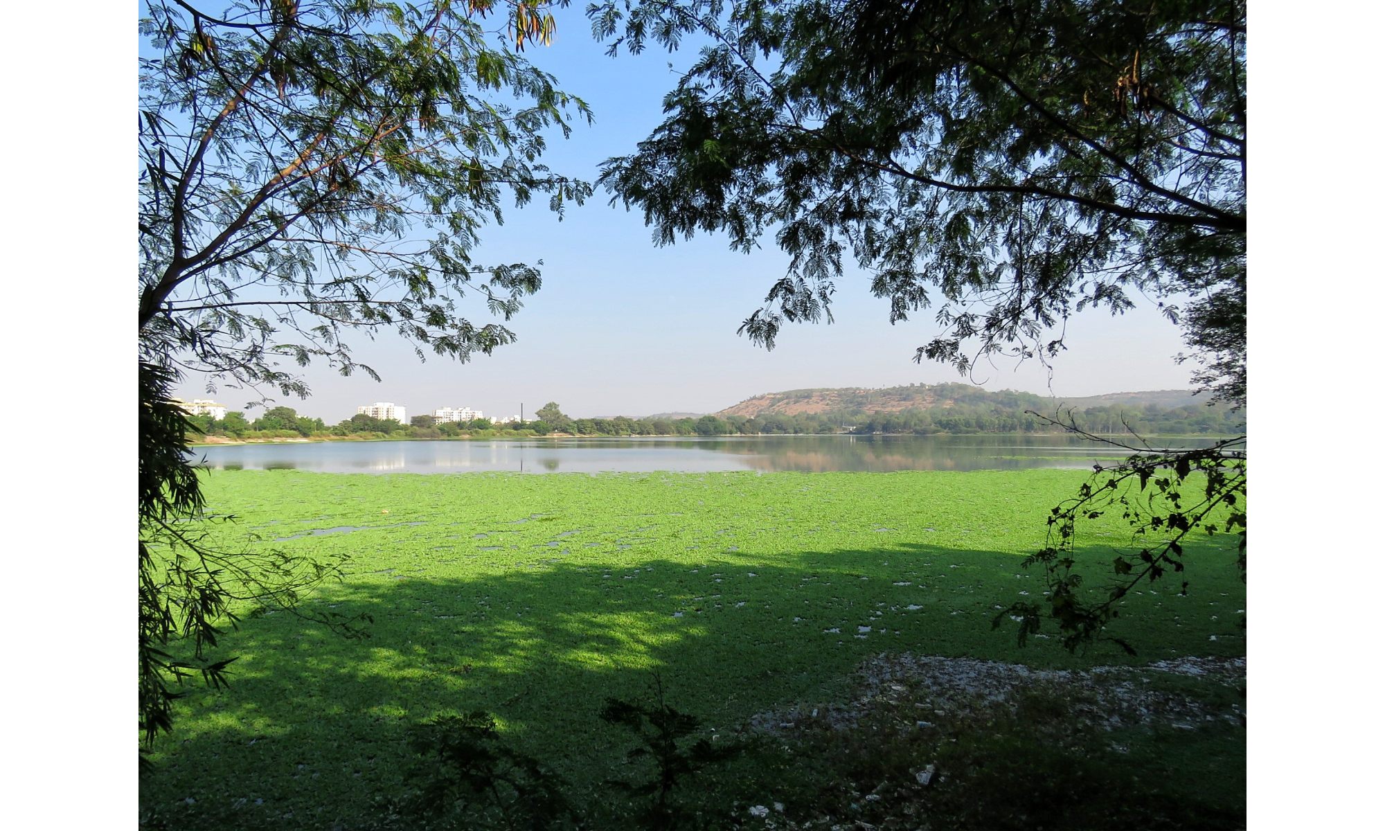 Pashan Lake