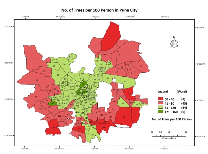 Trees of Pune